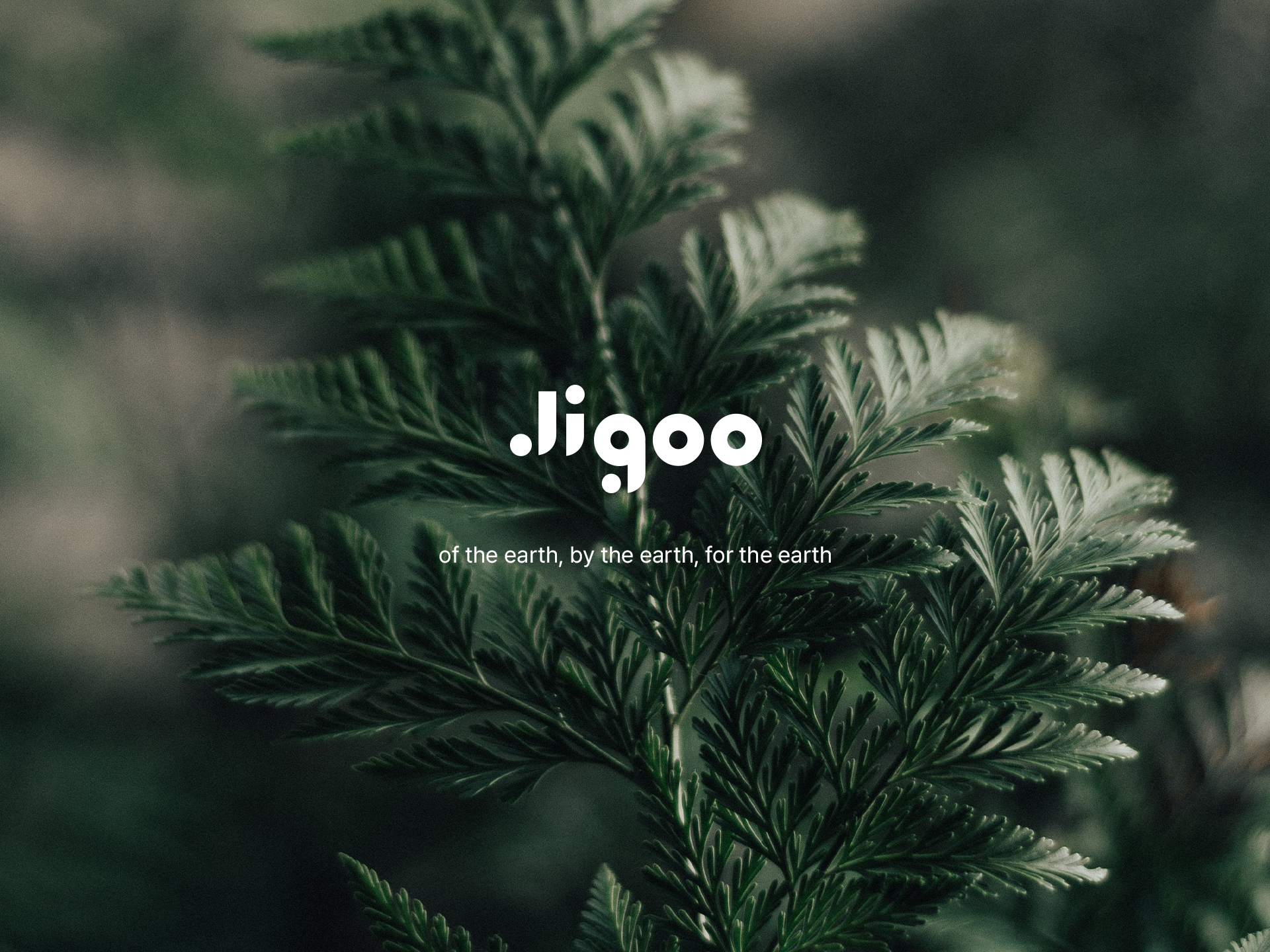 JIGOO